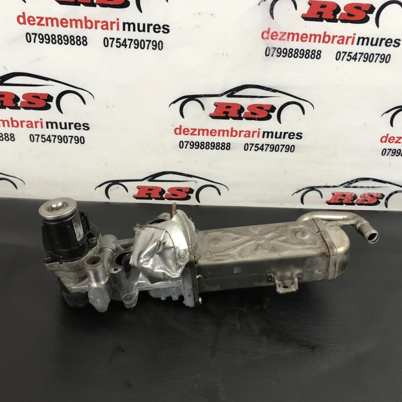 Racitor gaze egr Volkswagen 