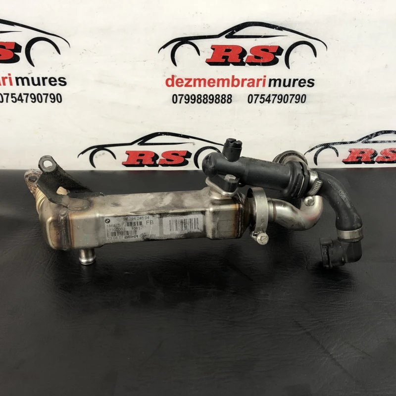 Racitor gaze egr BMW 