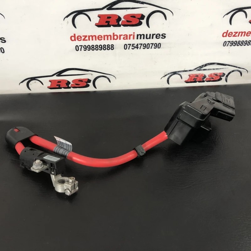 Borna baterie / BMW Seria 7 E65 2008 / Audio si electronice