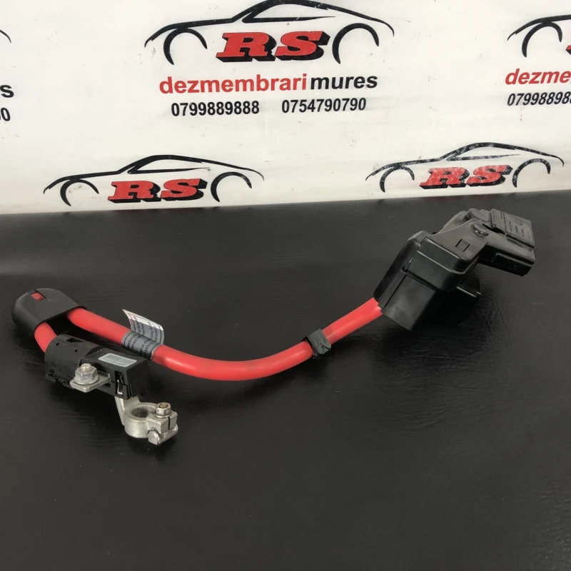 Borna baterie / BMW Seria 7 E65 2008 / Audio si electronice