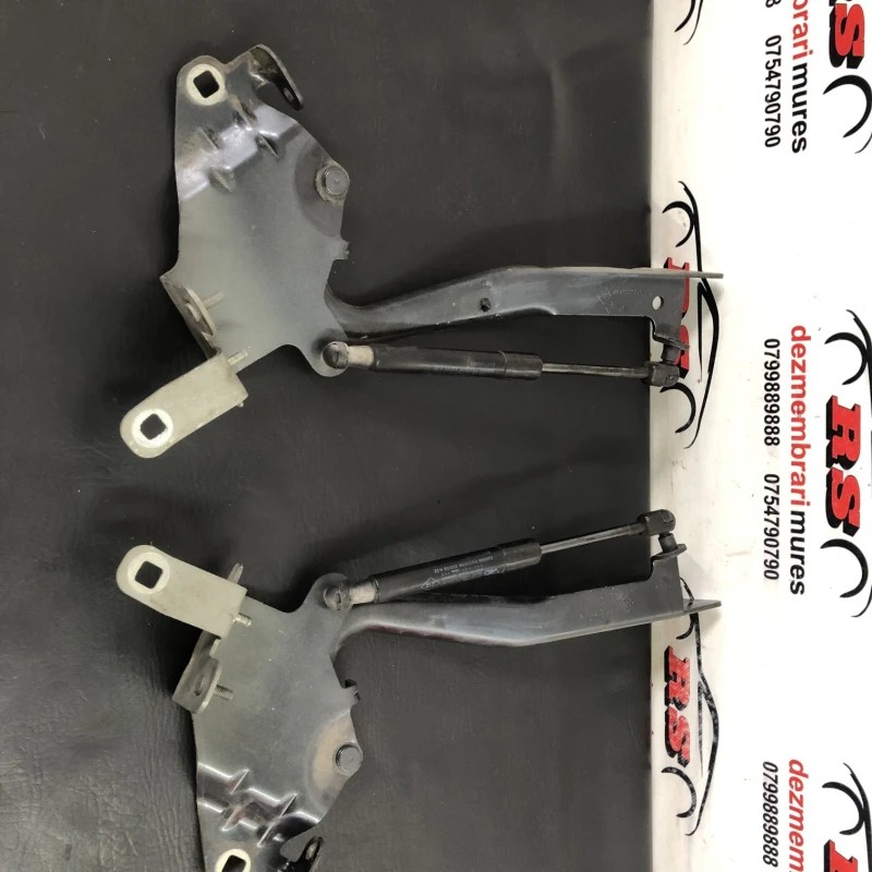 Balamale capota / Renault Scenic III 2010 / Caroserie, oglinzi si faruri