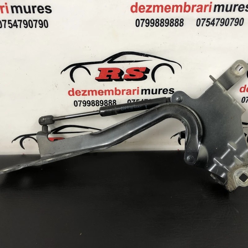 Balamale capota / Renault Scenic III 2010 / Caroserie, oglinzi si faruri