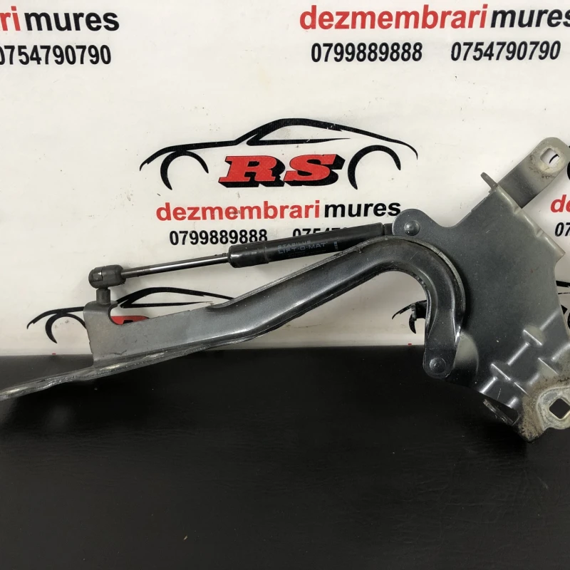 Balamale capota / Renault Scenic III 2010 / Caroserie, oglinzi si faruri