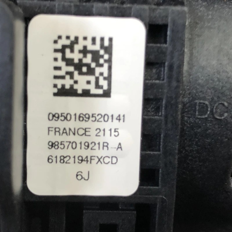 Airbag volan / Renault Scenic III 2010 / Interior