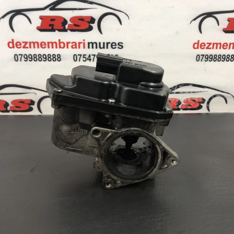Egr Volkswagen 