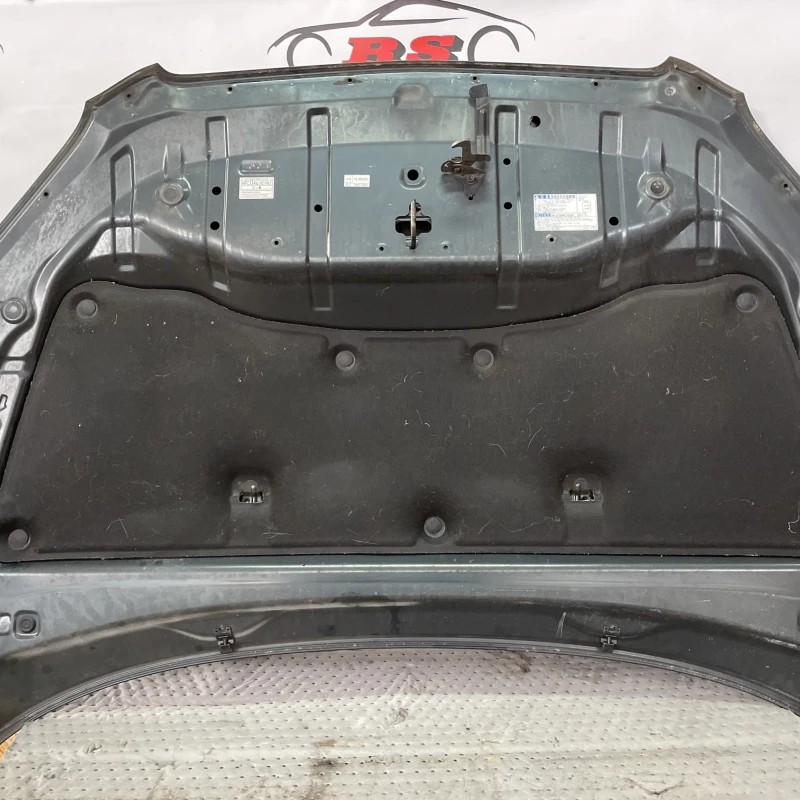 Capota / Toyota Rav4 XA30 2007 / Caroserie, oglinzi si faruri