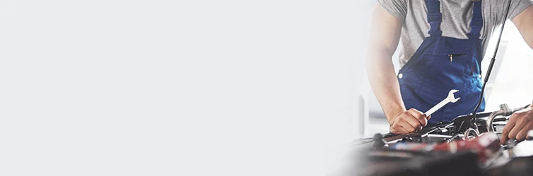 Category Banner