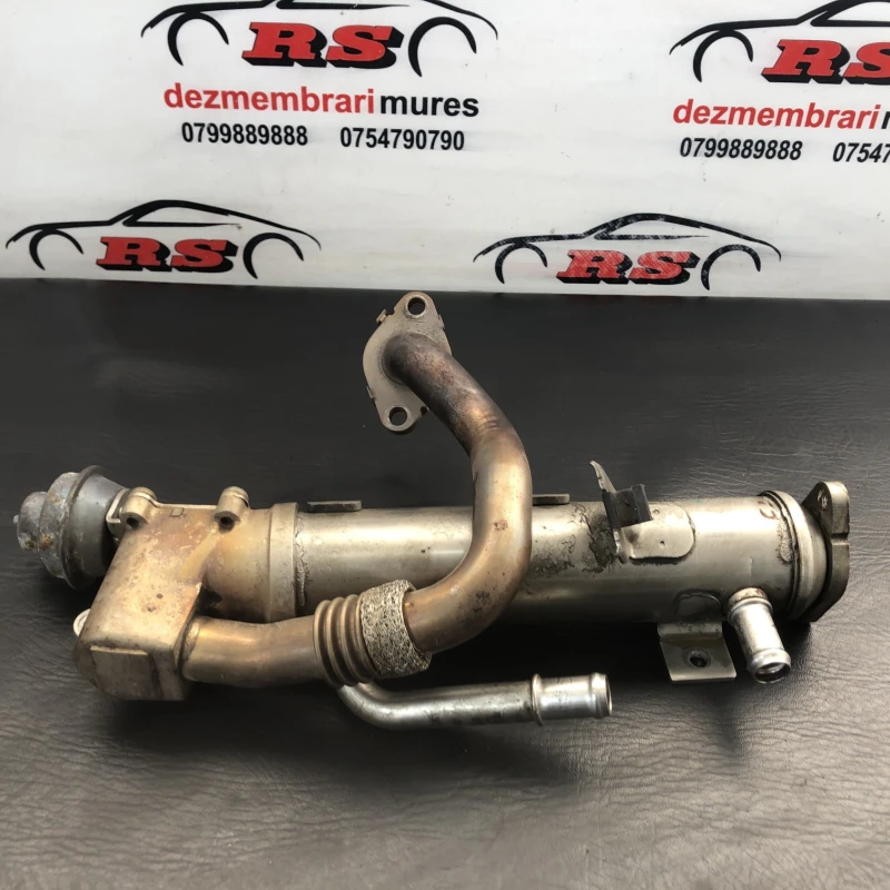 Racitor gaze egr Audi 