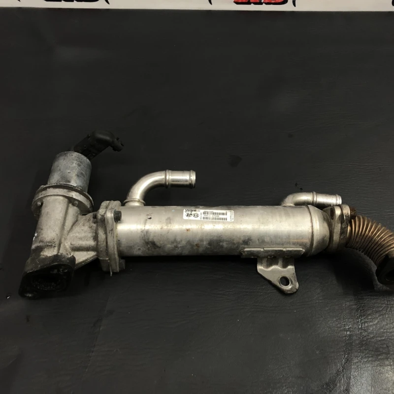 Racitor gaze egr Hyundai 