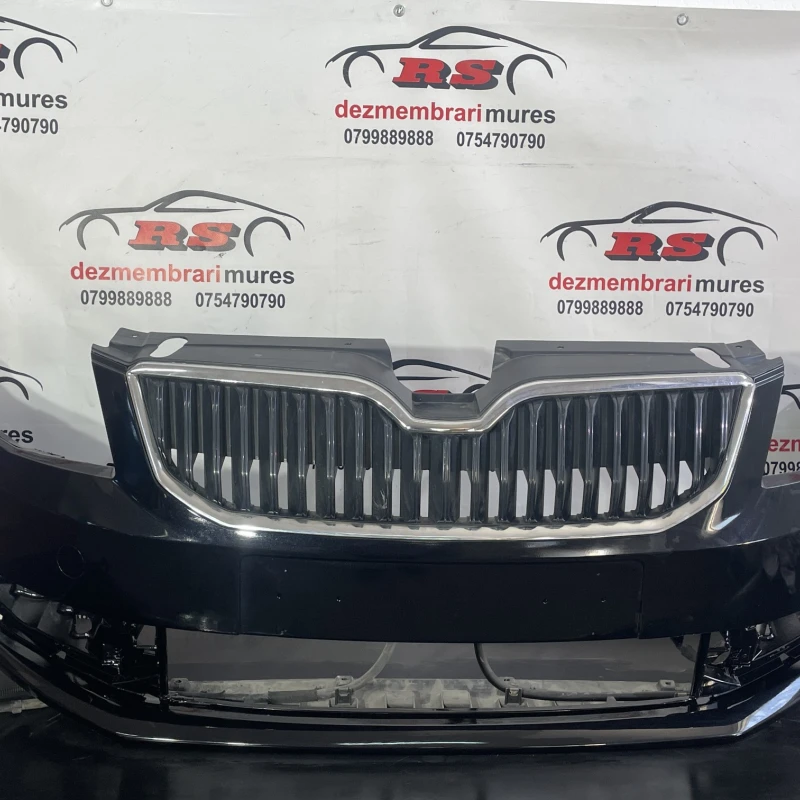 Bara fata Skoda 