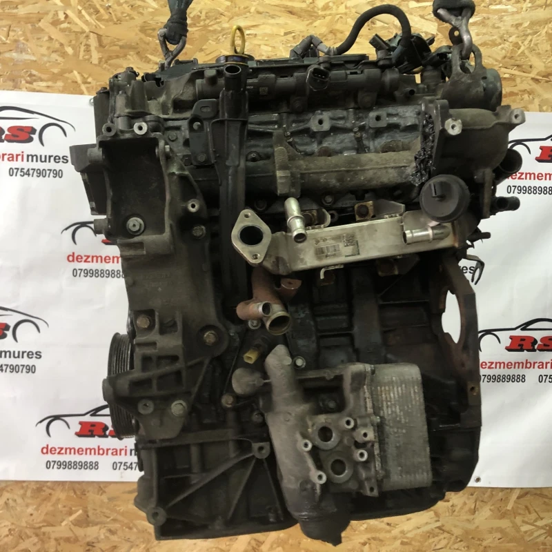 Motor M9R 786 Nissan 