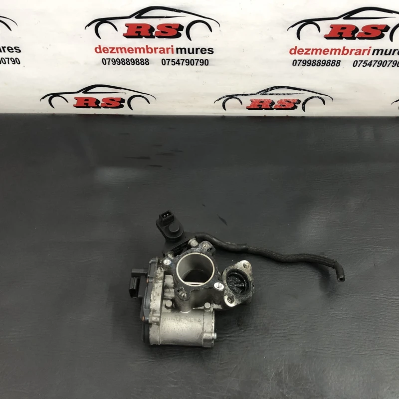 Egr Nissan 