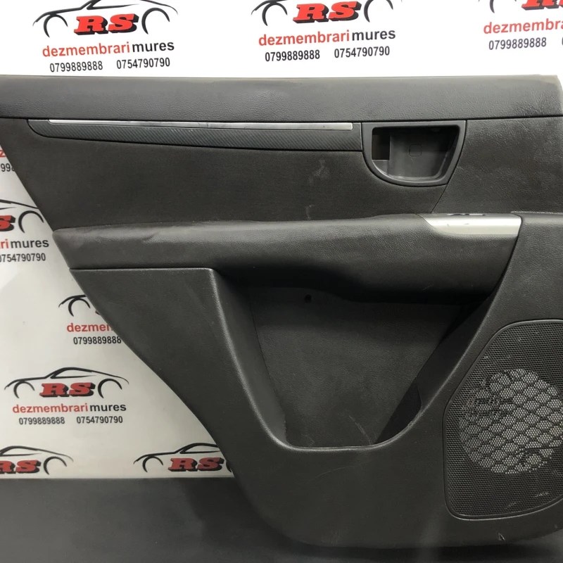 Panou tapiterie usa stanga spate Hyundai 