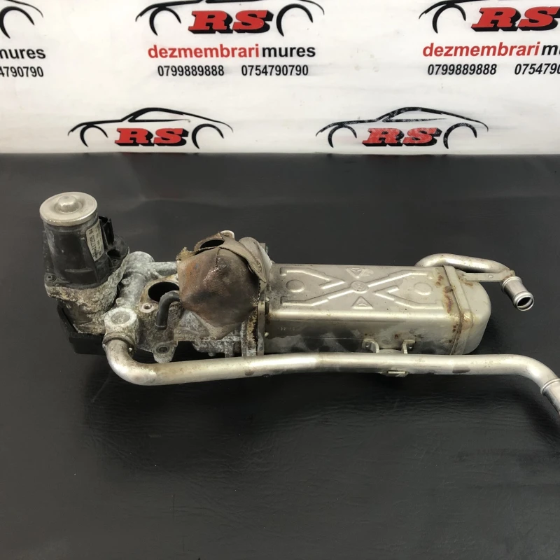 Racitor gaze egr Seat 