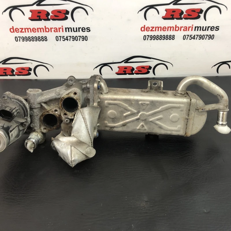 Racitor gaze egr Volkswagen 