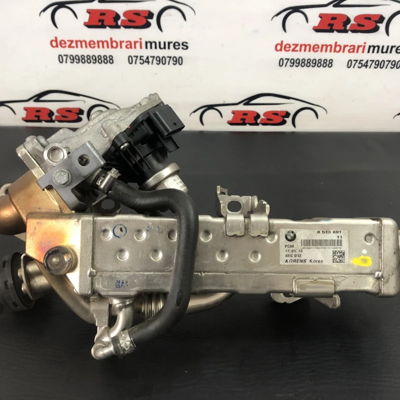 Racitor gaze egr BMW 