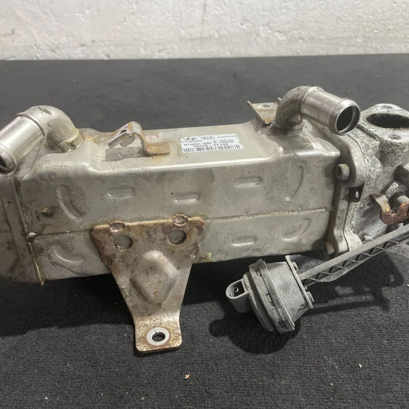 Racitor gaze egr Hyundai 