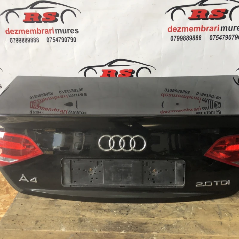 Haion Audi 