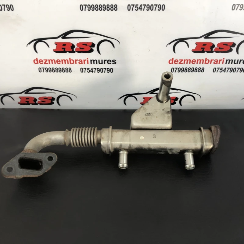 Racitor gaze egr Nissan 