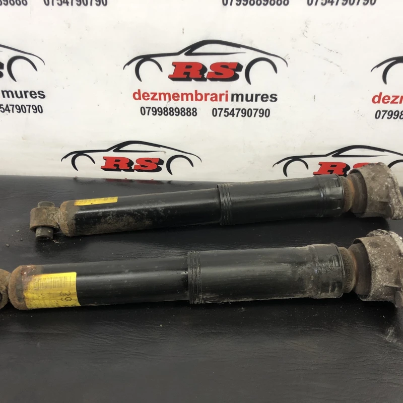 Amortizor spate Mercedes-Benz 