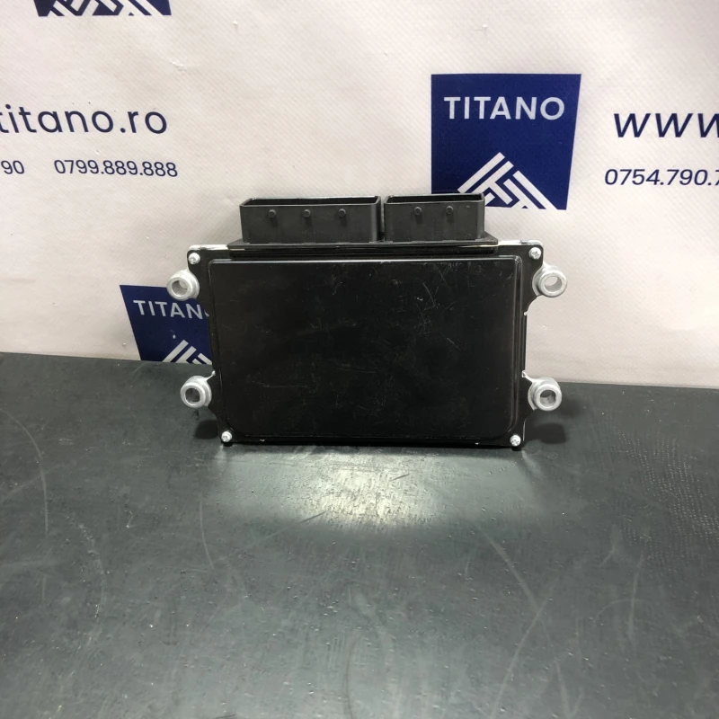 Calculator motor ecu / Nissan Leaf ZE1 2019 / Audio si electronice
