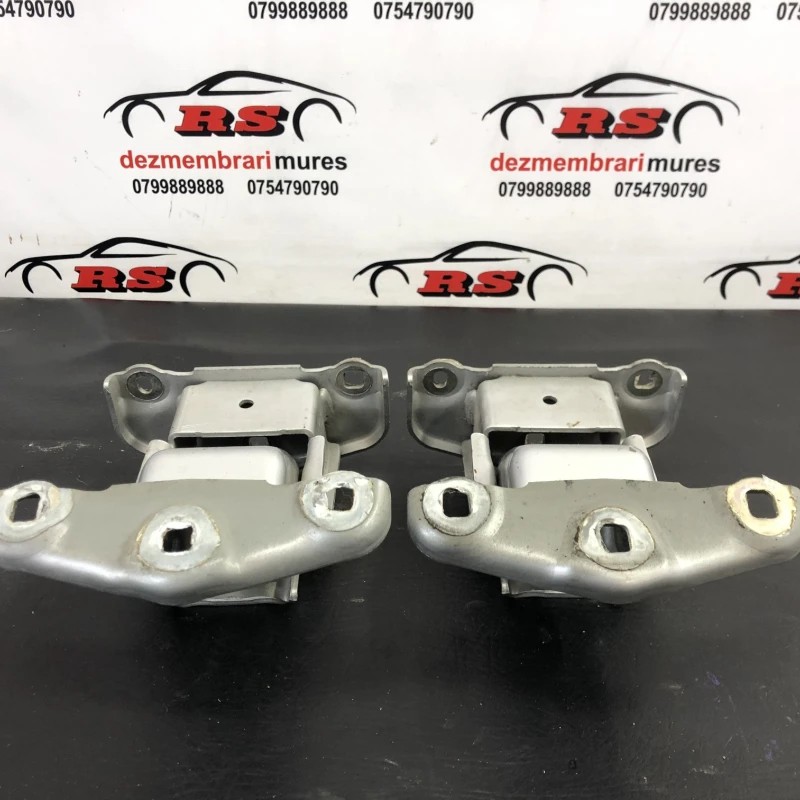 Balama usa / Renault Trafic Trafic 2011 / Caroserie, oglinzi si faruri