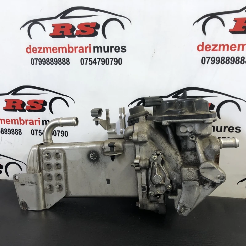 Racitor gaze egr Audi 