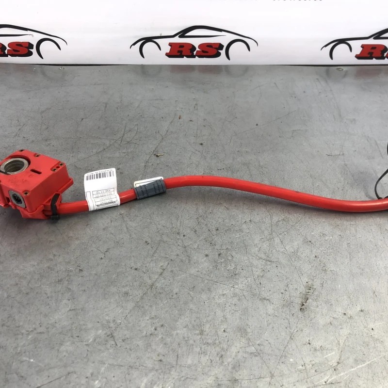 Borna plus baterie / BMW Seria 3 E91 LCI 2012 / Audio si electronice