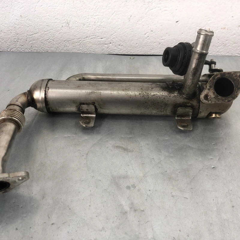 Racitor gaze egr Volkswagen 