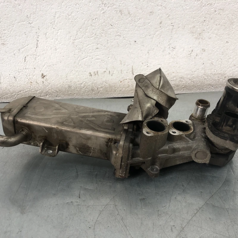 Racitor gaze egr Volkswagen 