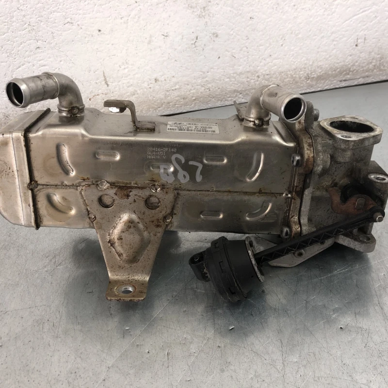 Racitor gaze egr Hyundai 