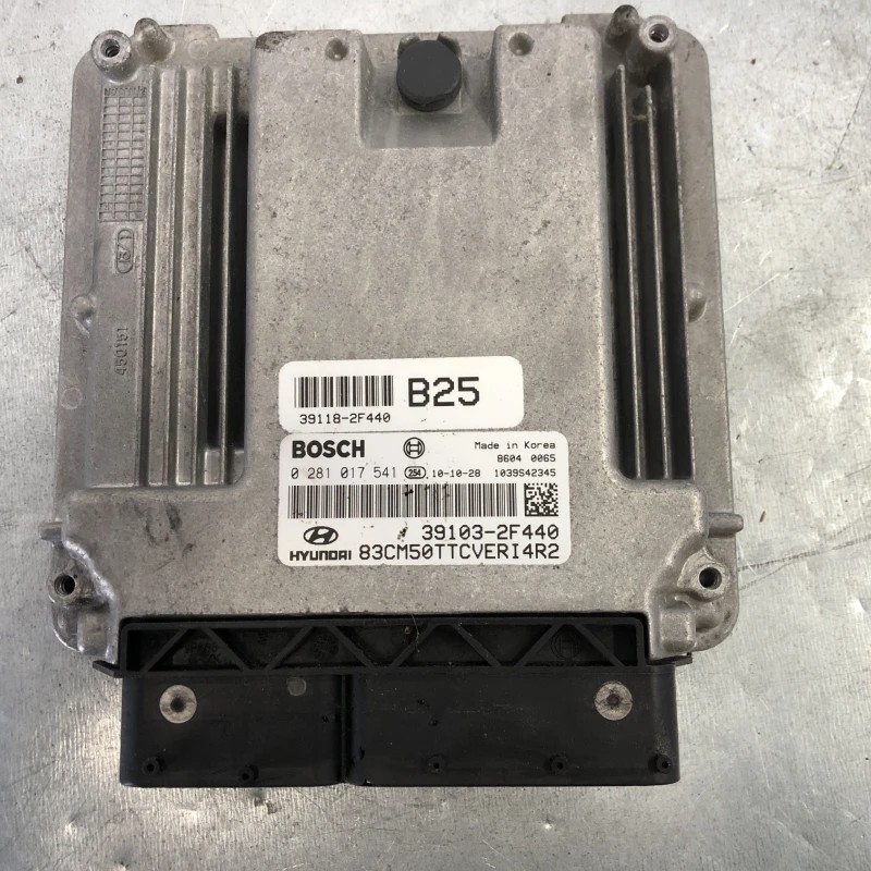 Calculator motor ecu / Hyundai Santa Fe Santa Fe 2012 / Audio si electronice