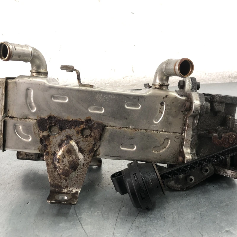 Racitor gaze egr Hyundai 