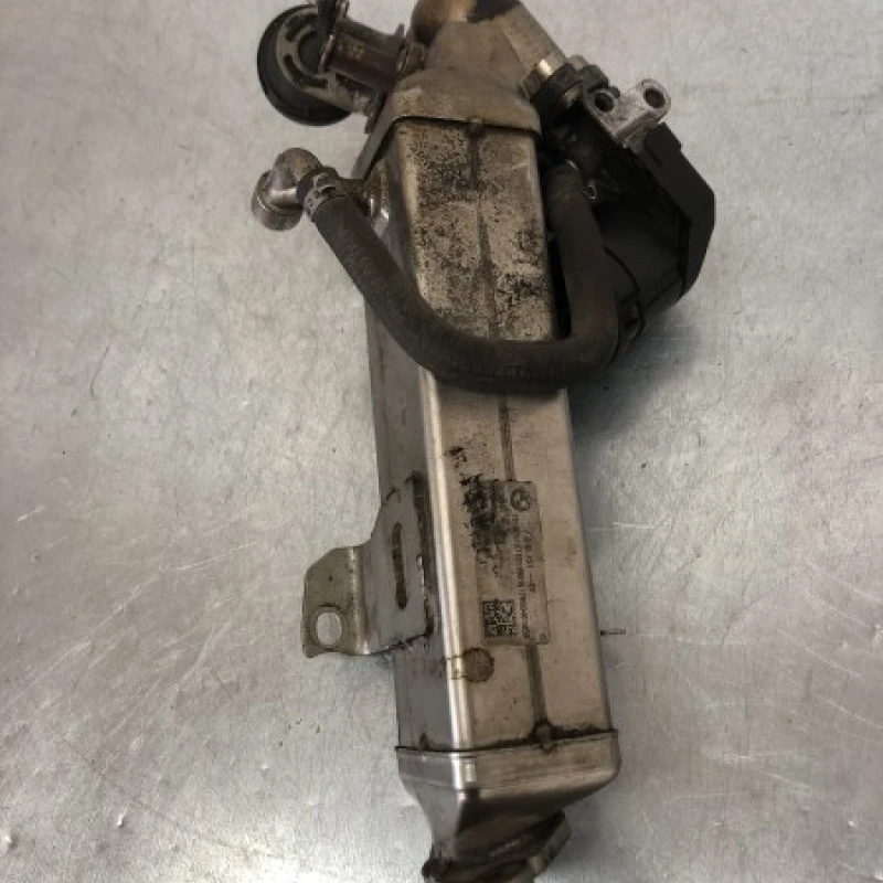 Racitor gaze egr BMW 
