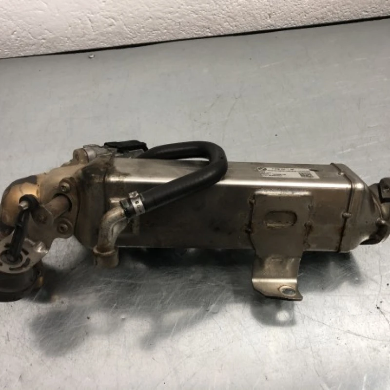 Racitor gaze egr BMW 