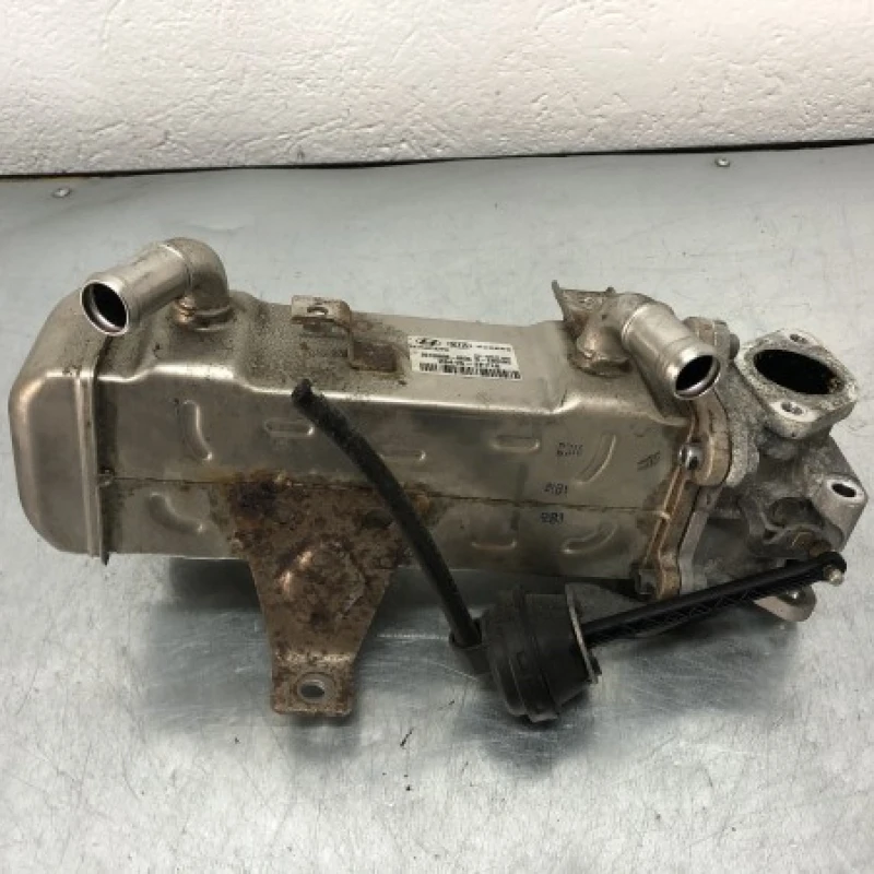 Racitor gaze egr Kia 