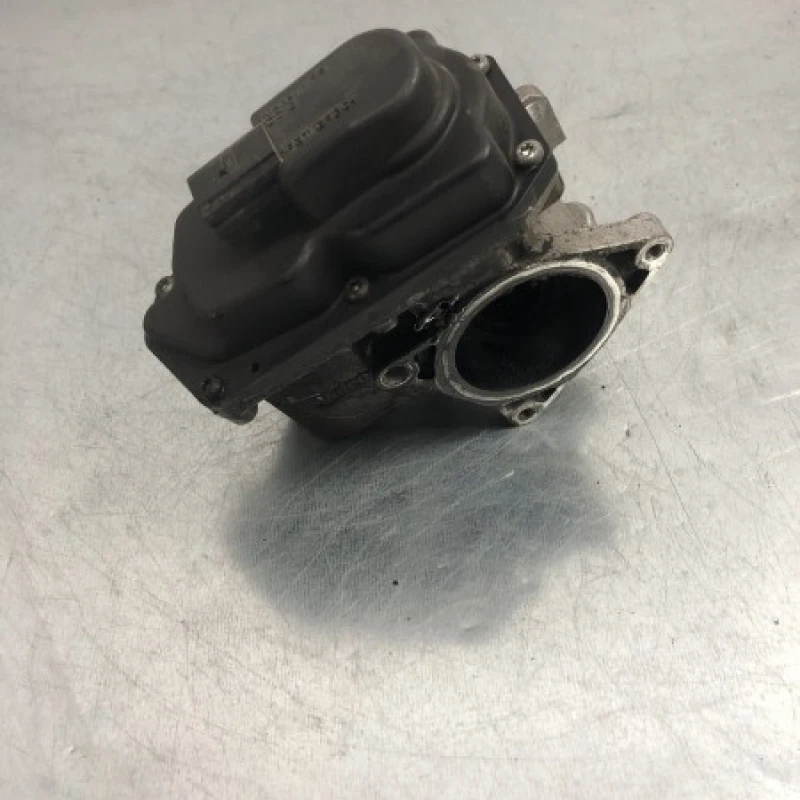 Egr Volkswagen 