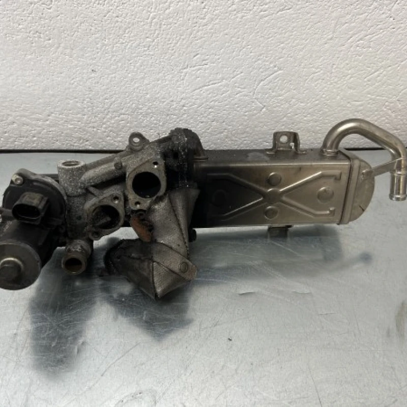Racitor gaze egr Volkswagen 