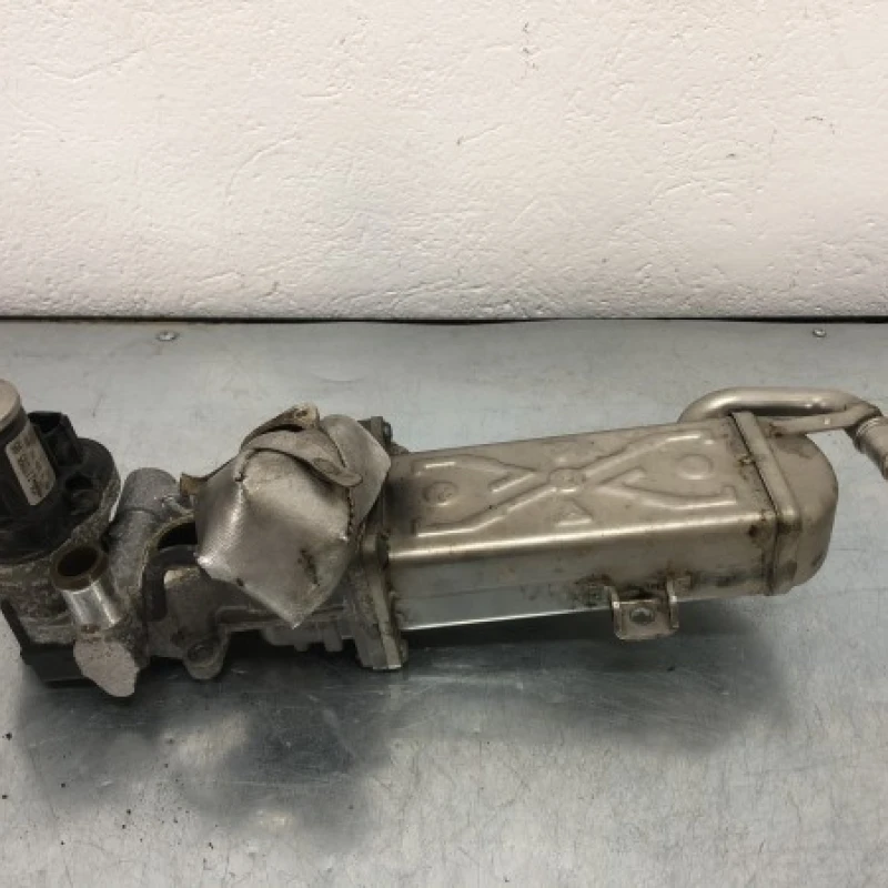 Racitor gaze EGR Volkswagen 