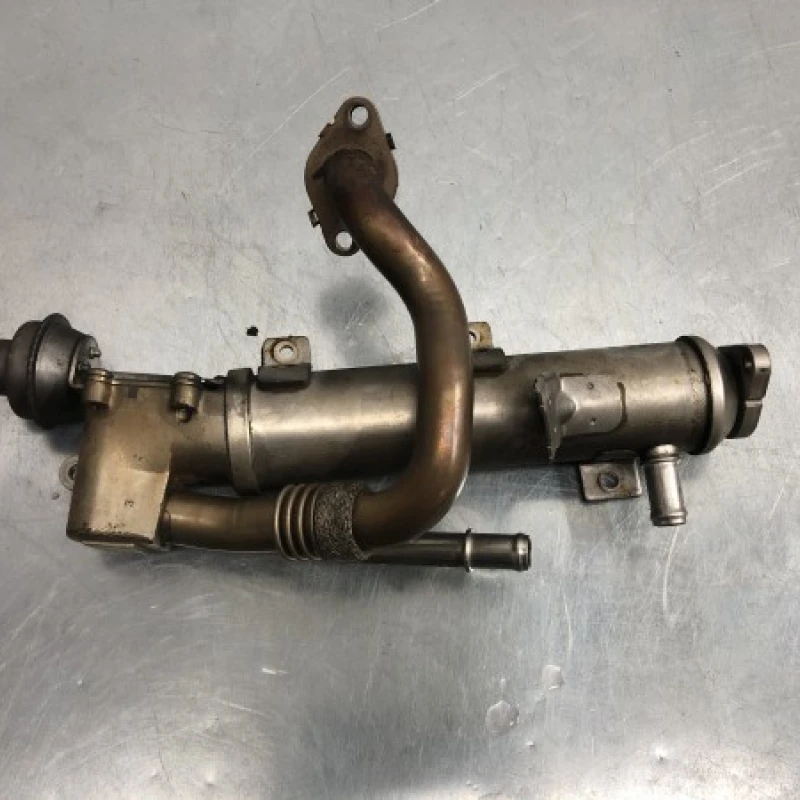 Racitor gaze egr Audi 