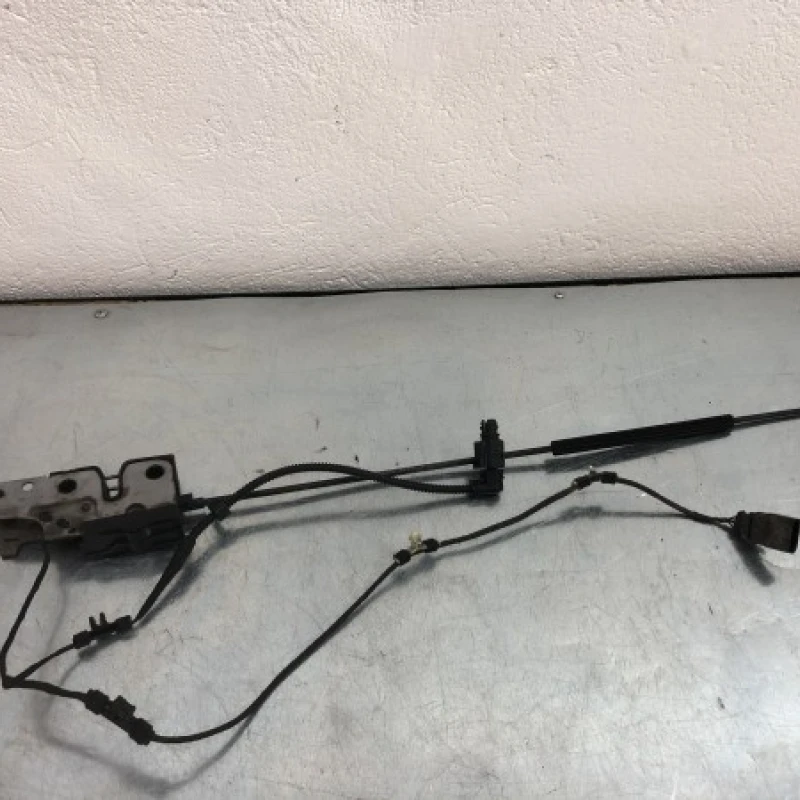 Iala broasca capota Volkswagen 