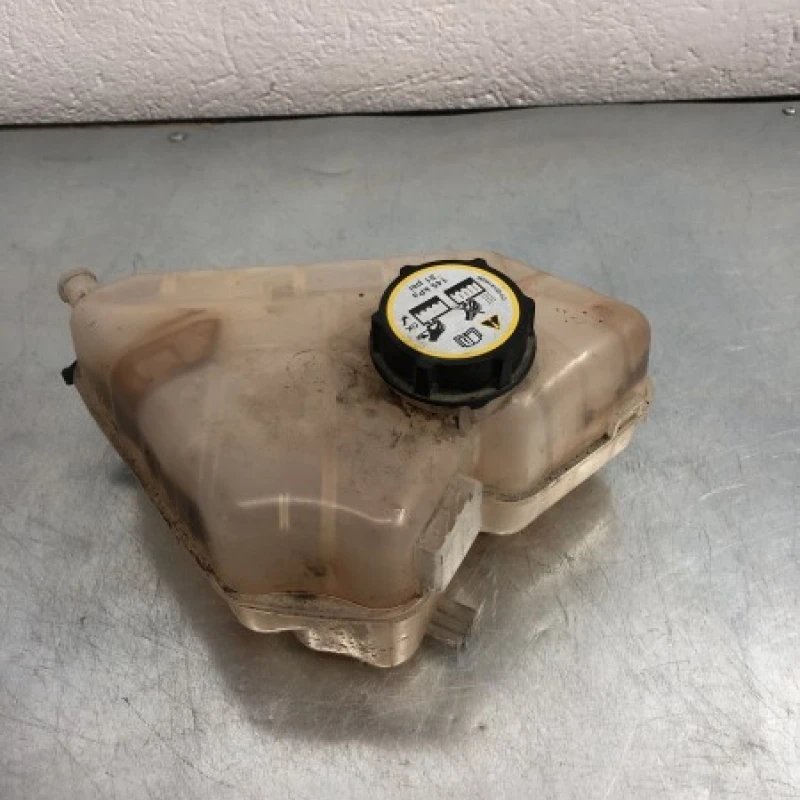Vas antigel expansiune Ford 