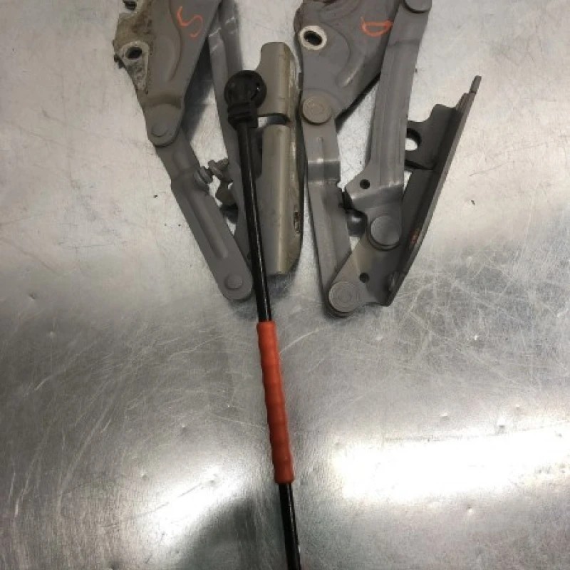 Balamale capota / Volkswagen Golf Plus MK5 2008 / Caroserie, oglinzi si faruri