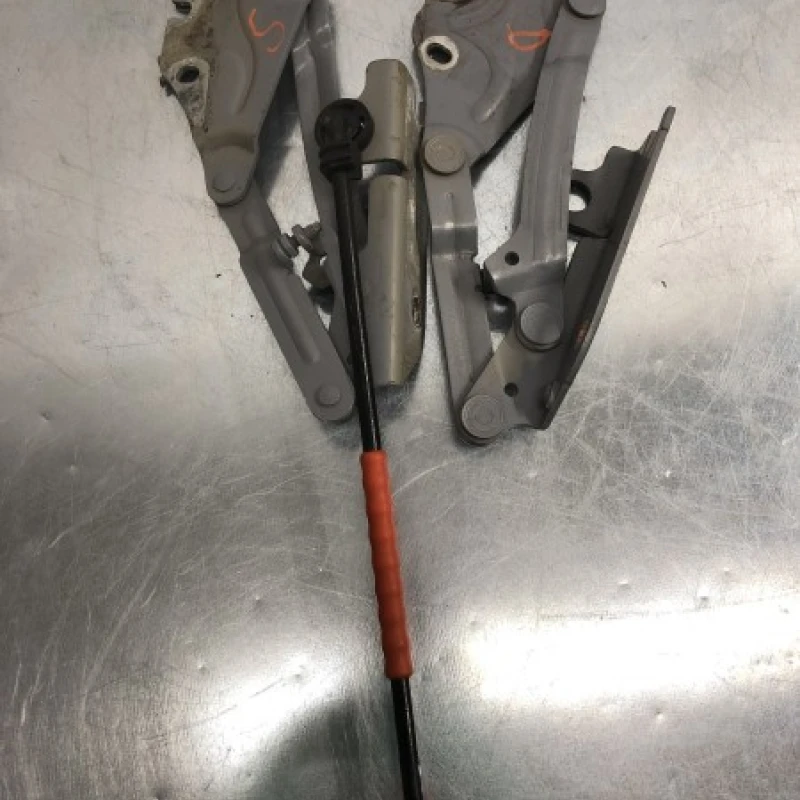 Balamale capota / Volkswagen Golf Plus MK5 2008 / Caroserie, oglinzi si faruri