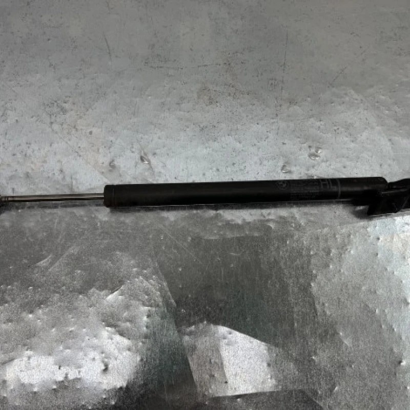 Amortizor usa stanga spate softclose BMW Seria 7 F01 2011