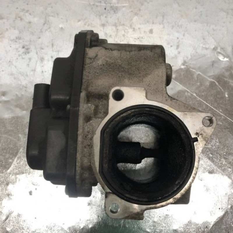 Egr Audi 