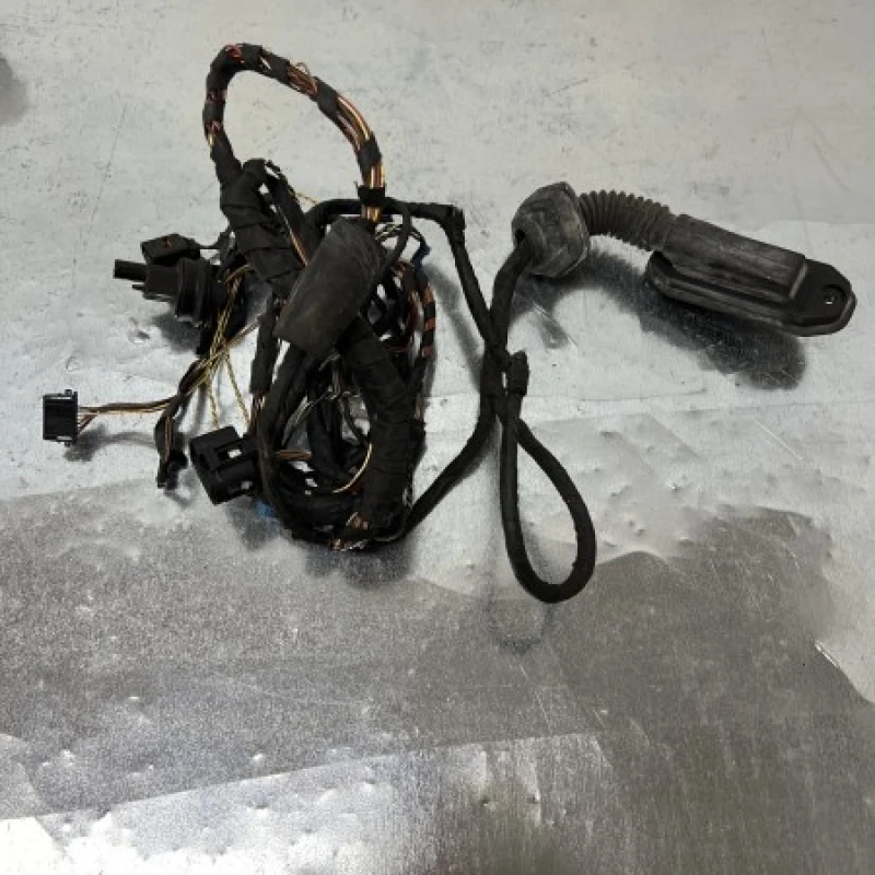 Instalatie electrica usa stanga fata BMW 