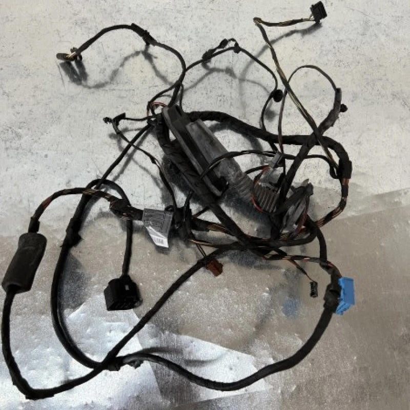 Instalatie electrica usa dreapta spate BMW 