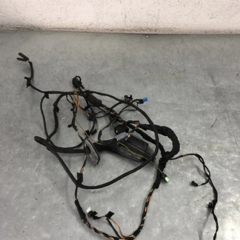 Instalație electrica usa dreapta fata BMW Seria 7 F01 2011
