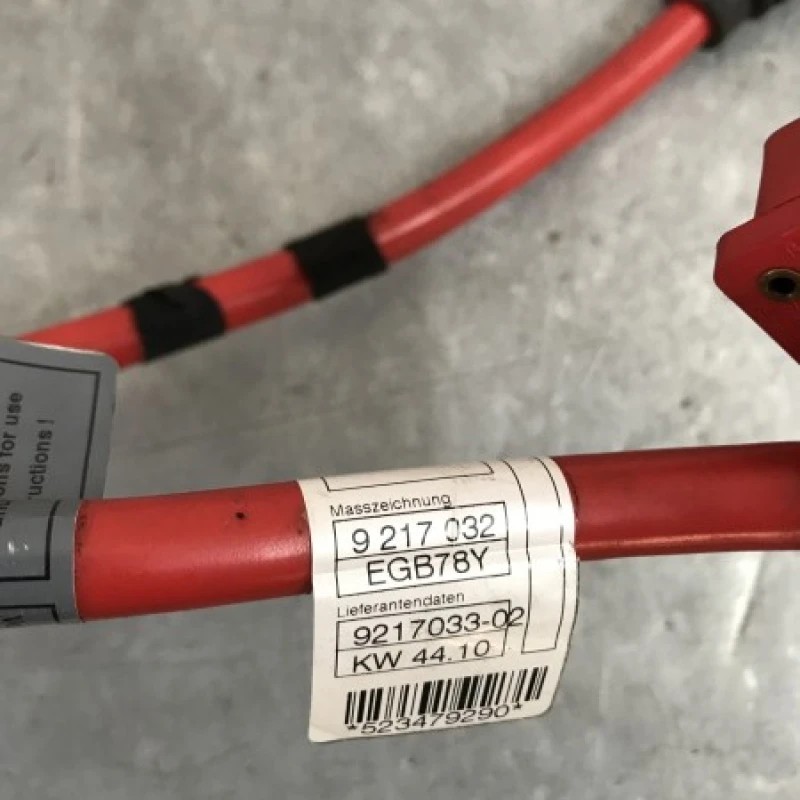 Borna baterie plus / BMW Seria 7 F01 2011 / Audio si electronice